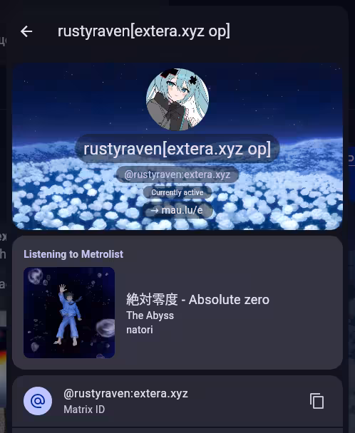 A screenshot of Extera RPC. It shows a user profile, including what they're listening to.