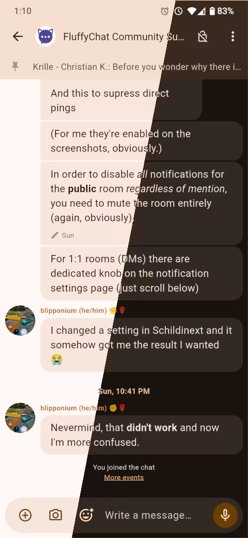 FluffyChat screenshot 2